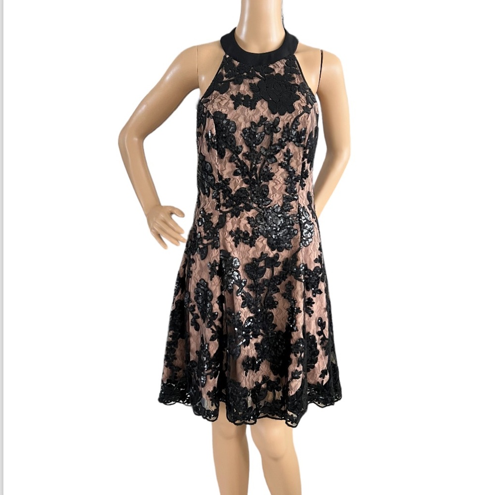 Dress the Population Black Sequin Floral Lace Over Blush Mini Dress